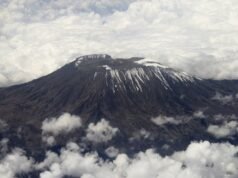 Bahkan seekor beruang pun tidak takut: sebuah buku telah ditulis tentang anjing penyelamat Hector (†8).