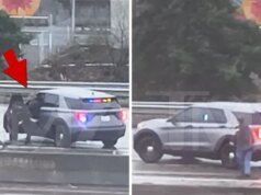 Video Menunjukkan Momen Seorang Pria Membajak Mobil Letnan Patroli Negara Bagian Washington