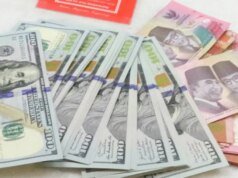 Investor Waspada! 2026 Diprediksi Jadi Titik Balik Kekuasaan Dolar AS