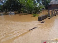 Gibran Minta Maaf jika Pemerintah Belum Maksimal dalam Penanganan Bencana Sumatera