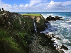 Tempat wisata mengamati paus di Pantai Sonoma – The Mercury News