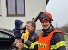 Nona pedofil memangsa para siswa: Sekarang dia akan duduk dalam kedinginan selama beberapa tahun dan kehilangan kesempatan untuk mengajar