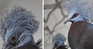 Natal Luar Biasa di Pusat Kota Brno: Festival Kebiasaan Buruk Telah Dimulai! Tidak ada alkohol dan ruang untuk kontemplasi