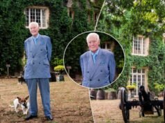 Anda tidak menginginkan hadiah ini untuk Natal! Seorang penyusup yang tidak diinginkan bersembunyi di pohon