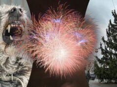 Amal Natal di Brno: Orang-orang menyumbangkan lima juta dolar berkat cangkir