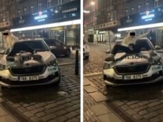 Diskriminasi! Kantor Antimonopoli membatalkan pesanan DPP untuk bus listrik senilai lebih dari tiga miliar