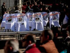 Dokter Palestina lulus di reruntuhan Rumah Sakit al-Shifa di Gaza | Berita konflik Israel-Palestina