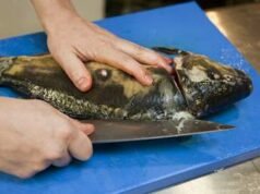 Ikan mas tidak harus hanya digoreng di malam Natal. Cobalah dengan bumbu dan jamur