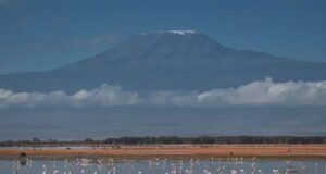 Helikopter misi penyelamatan jatuh di Gunung Kilimanjaro Tanzania, 5 orang tewas