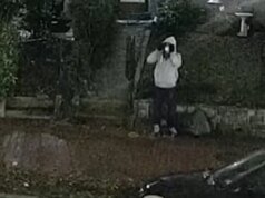 FBI– Berita Merkurius