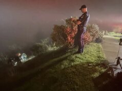 Pengemudi diselamatkan setelah kendaraan jatuh 200 kaki di tanggul North Bay – The Mercury News