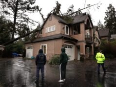 Malam kedua berangin, hujan merobohkan pohon, kabel listrik, dan menutup jalan North Bay – The Mercury News