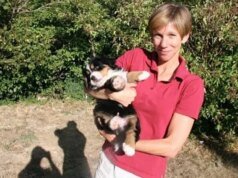 Korban Serangan Hiu Terdampar di Pantai California Utara