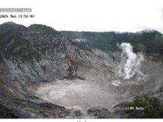Waspada! Aktivitas Gempa di Gunung Tangkuban Parahu Meningkat Saat Libur Nataru