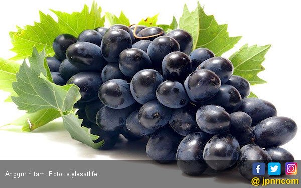 anggur-hitam-foto-stylesatlife.jpg
