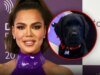 Khloé Kardashian Mendapat Anak Anjing Keluarga untuk Natal