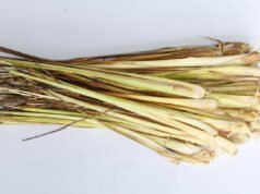 3 Manfaat Teh Serai, Bantu Cegah Serangan Berbagai Penyakit Ini