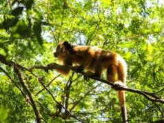 Peringatan 14 Desember: apa yang terjadi di hari seperti hari ini?