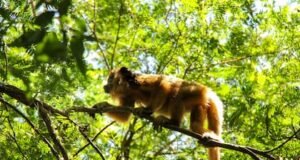 Peringatan 14 Desember: apa yang terjadi di hari seperti hari ini?