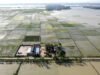 328 Hektare Sawah Terendam Banjir, DKPP Lamongan Siapkan Asuransi Bagi Petani