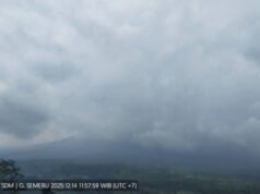 Gunung Semeru Mengalami 40 Kali Gempa Letusan