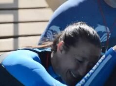 San Clemente del Tuyú: Kshamenk, orca yang hidup di Mundo Marino, mati setelah diselamatkan dari terdampar pada tahun 1992