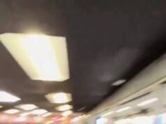 Video beberapa pegawai yang menutup pintu di hadapan Kepala Patroli Perbatasan: “Mau ayam?””
.