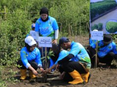 Dukung Rehabilitasi Ekosistem Pesisir, KEHATI & BTN Tanam 7.500 Mangrove