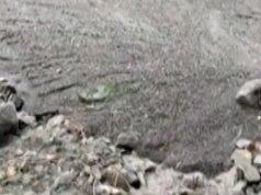 Komunitas pegunungan di The golden state dilanda tanah longsor