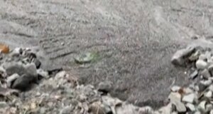 Komunitas pegunungan di The golden state dilanda tanah longsor