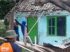 Angin Puting Beliung Terjang Situbondo, Enam Rumah Warga Rusak