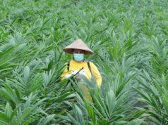 Timbal Balik ART: AS Bebaskan Tarif Ekspor Sawit Hingga Kopi, RI Diminta Buka Akses Mineral Kritis