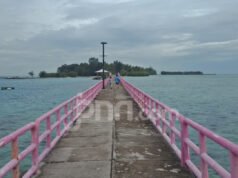 Information Jumlah Wisatawan ke Kepulauan Seribu saat Libur Natal 2025
