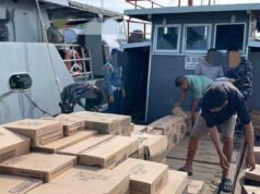 Bawa Kayu Ilegal dan Narkoba, kilometres Dolphin GT 22 Diamankan TNI AL di Karimun