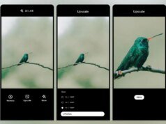 VSCO AI Lab kini dapat meningkatkan gambar hingga 4 kali lipat