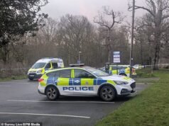 Korban pembunuhan dengan pisau hutan Guildford adalah seorang anak sekolah berusia 15 tahun, polisi mengungkapkan ketika detektif mengatakan perburuan pelakunya adalah bagian dari ‘penyelidikan yang bergerak cepat’