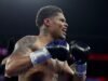 Shakur Stevenson vs Teofimo Lopez: Waktu mulai, kartu bawah, dan cara menonton pertarungan