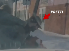 Video Close-Up Baru Menunjukkan Momen Sebelum Alex Pretti Ditembak Fatal