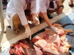 Pedagang Daging Mau Mogok Jualan, Begini Respons Pramono