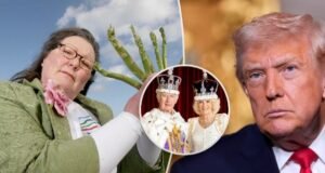 Seorang atlet adrenalin populer tewas dalam terjun payung ilegal: Dia terjatuh di depan turis yang ketakutan