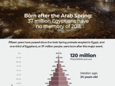 Lahir setelah Musim Semi Arab: 37 juta orang Mesir tidak ingat tahun 2011 | Berita Musim Semi Arab