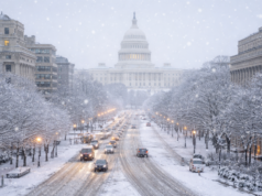 10 trik untuk mengurangi rasa dingin dengan suhu di bawah nol