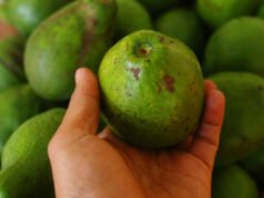 6 Makanan untuk Kesehatan Hati yang Lebih Baik