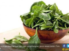 5 Makanan untuk Jaga Kesehatan Otak