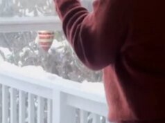 Tren yang disebut ‘bersendawa di rumah’ menjadi viral