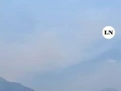 Faktor yang bisa menyebabkan kebakaran di Cholila kembali tidak terkendali