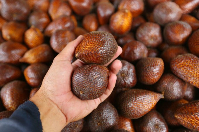 salak-vnxoa-xorb.jpg