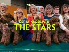 Apple membagikan cuplikan ‘doguseries’ imersif Top Dogs baru yang hadir di Vision Pro