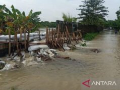 553 KK di Muaragembong Bekasi Jadi Korban Banjir Akibat Tanggul Sungai Citarum Jebol