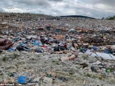 Penduduk yang tinggal di dekat tempat pembuangan sampah ‘ilegal’ merasa terjebak di rumah mereka karena bau busuk menyebar dan merusak kota mereka yang dulunya indah di Welsh.